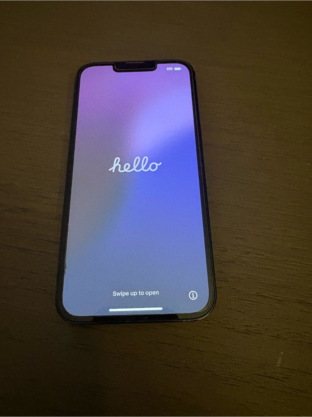 Apple iPhone Navy